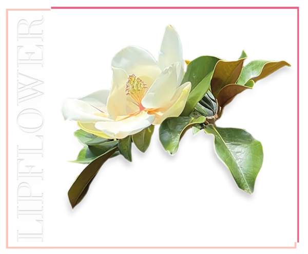 lip flower magnolie nr. 181, 3.6g